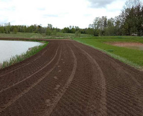 Žemės frezavimas - Vejos įrengimas, aplinkos tvarkymas, kelmų frezavimas. - 1