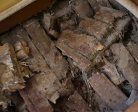 Pelėsio ir medžio grybo "Trobagrybio" naikinimas, šalinimas / PelėsioNaikinimasSalinimas.lt / Darbų pavyzdys ID 3334861