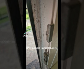 Pelėsio ir medžio grybo "Trobagrybio" naikinimas, šalinimas / PelėsioNaikinimasSalinimas.lt / Darbų pavyzdys ID 3335355