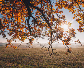 Vestuvės, renginiai, verslo portretai, asmeninės fotosesijos / Linas Bielinis / Darbų pavyzdys ID 638479