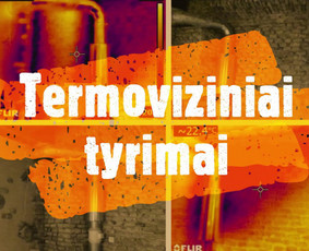 Pelėsio ir medžio grybo "Trobagrybio" naikinimas, šalinimas / PelėsioNaikinimasSalinimas.lt / Darbų pavyzdys ID 3335821