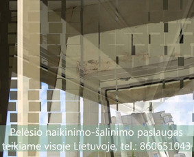 Pelėsio ir medžio grybo "Trobagrybio" naikinimas, šalinimas / PelėsioNaikinimasSalinimas.lt / Darbų pavyzdys ID 3336217