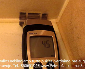 Pelėsio ir medžio grybo "Trobagrybio" naikinimas, šalinimas / PelėsioNaikinimasSalinimas.lt / Darbų pavyzdys ID 3336327