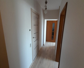 Vidaus apdailos darbai dažymas,plytelių klijavimas ir kita / Vidaus apdailos darbai Vilniuje / Darbų pavyzdys ID 3338175