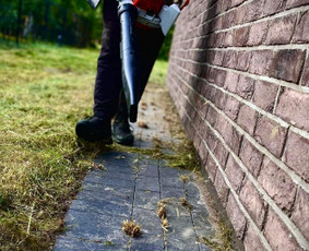 Žolės pjovimas - Teritorijų tvarkymas trimeriu, traktoriuku, žoliapjove ir kt - 2