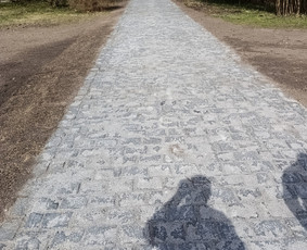 Apželdinimas Vejos įrengimas Trinkelių klojimas gerbūvio / Gerbūvio darbai / Darbų pavyzdys ID 3341848