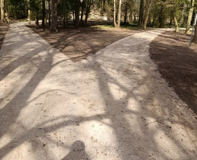 Apželdinimas Vejos įrengimas Trinkelių klojimas gerbūvio / Gerbūvio darbai / Darbų pavyzdys ID 3341852