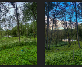 Apleistų sklypų tvarkymas - Vėjos, žolės pjovimas. Žolės skarifikavimas. - 4