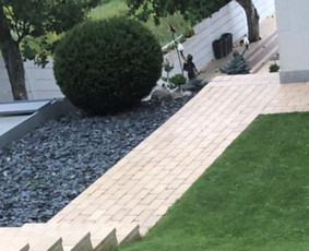 Aplinka, sodas - Aplinkos tvarkymas, aeravimas, genėjimas ir kita - 3