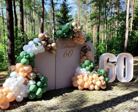 Balionų arkos/balionų sienelės/švenčių dekoravimas / Aksominis debesėlis / Darbų pavyzdys ID 3343346