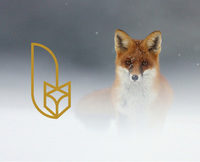 Kavinės "Manu Labu" logotipo idėja
