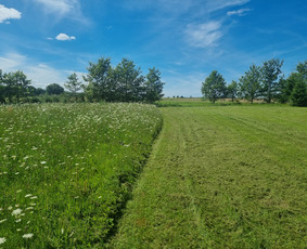 Žolės pjovimas / Apželdinimas - Pievų šienavimas - 1 Pievų šienavimas - Žolės pjovimas / Apželdinimas - 1