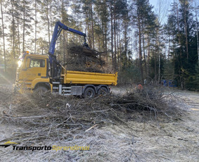 Statybinių atliekų konteinerių nuoma- šiukšlių išvežimas / MB Transporto sprendimai / Darbų pavyzdys ID 3345170