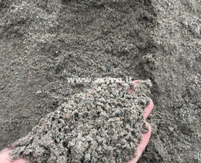 Žvyras smėlis skalda juodžemis Klaipėdos apskrityje - Atsijos trinkelėms - 1 Atsijos trinkelėms - Žvyras smėlis skalda juodžemis Klaipėdos apskrityje - 1