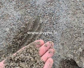 Smėlis - Žvyras smėlis skalda juodžemis Klaipėdos apskrityje - 1