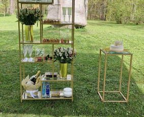 Nuoma foto sienelių ir šventinės dekoracijos. / O’Decor / Darbų pavyzdys ID 3346386