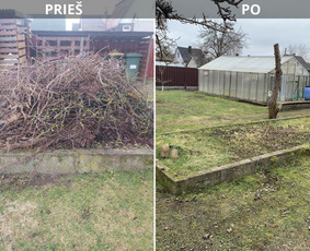 Krovinių pervežimas, perkraustymai, atlieku išv. / Benas / Darbų pavyzdys ID 3347672