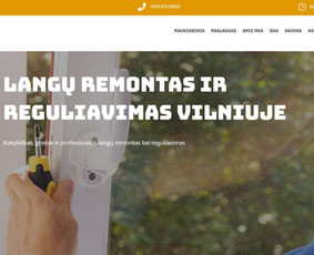 Interneto svetainių kūrimas, e-shop, Seo optimizacija / Tomas Bagačiūnas / Darbų pavyzdys ID 3348642