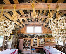 Ekskursijų rengimas po vietovę lietuvių kalba - Gido paslaugos Ignalinos rajone - 3