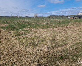 Žolės pjovimas / Pievų mulčiavimas / Frezavimas - Pievų šienavimas - 4 Pievų šienavimas - Žolės pjovimas / Pievų mulčiavimas / Frezavimas - 4
