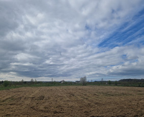 Žolės pjovimas / Pievų mulčiavimas / Frezavimas - Pievų šienavimas - 3 Pievų šienavimas - Žolės pjovimas / Pievų mulčiavimas / Frezavimas - 3