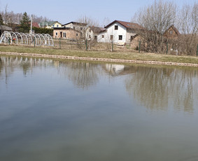 Šlaitų.pakrančių tvirtinimas-atraminės sinelės / GeoMax / Darbų pavyzdys ID 641693