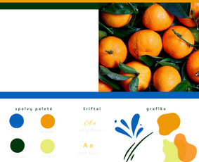 Verslo asistentė - Virtualūs asistentai - 2 Virtualūs asistentai - Verslo asistentė - 2