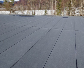 Plokščių Stogų Dengimas Pvc, Epdm ir bitumine Danga / Tvirti stogai / Darbų pavyzdys ID 3354554
