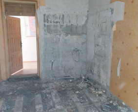 Griovimo darbai šiukšliu išvežimas / Audrius / Darbų pavyzdys ID 3354854