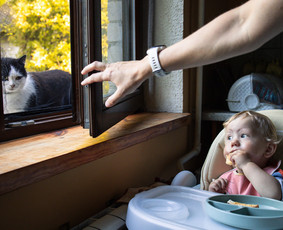 Šeimos Fotografija / (iš)gyventi tėvystę / Darbų pavyzdys ID 3354924