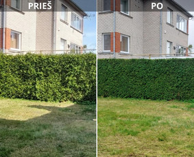 Žolės Pjovimas / Aplinkos Priežiūra / Mantas Ruginis / Darbų pavyzdys ID 3355244