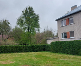 Žolės Pjovimas / Aplinkos Priežiūra / Mantas Ruginis / Darbų pavyzdys ID 3355248