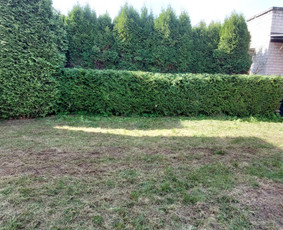 Žolės Pjovimas / Aplinkos Priežiūra / Mantas Ruginis / Darbų pavyzdys ID 3355250