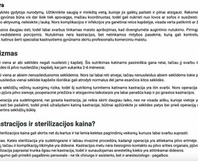 Tekstų ir turinio kūrimas (lt/en) / Simona Trijonytė / Darbų pavyzdys ID 3356060