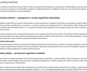 Tekstų ir turinio kūrimas (lt/en) / Simona Trijonytė / Darbų pavyzdys ID 3356070