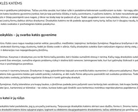 Tekstų ir turinio kūrimas (lt/en) / Simona Trijonytė / Darbų pavyzdys ID 3356072