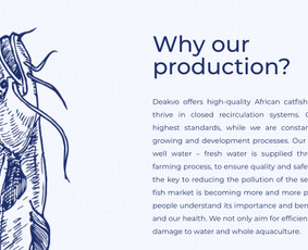 Tekstų interneto svetainėms kūrimas - Tekstų ir turinio kūrimas (lt/en) - 3