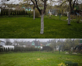 Medžių pjovimas, genėjimas. Aplinkos,miškų priežiūra / MB "Miškų Vilkai" / Darbų pavyzdys ID 3356308