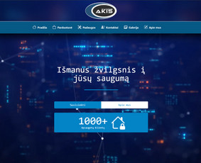 Svetainių kūrimas - Verslo valdymo sistemų ir internetinių platformų kūrimas - 3