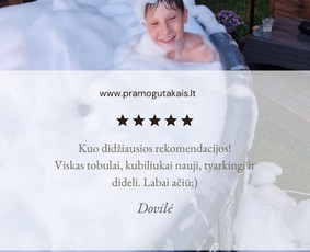 Mobilių kubilų, medinių lauko/vidaus žaidimų nuoma / medinių lauko/vidaus žaidimų nuoma / Darbų pavyzdys ID 3356878