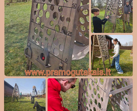 Mobilių kubilų, medinių lauko/vidaus žaidimų nuoma / medinių lauko/vidaus žaidimų nuoma / Darbų pavyzdys ID 3356896