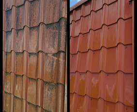 Trinkelių, stogų, fasadų valymas, plovimas - Stogų valymas ir priežiūra - 1 Stogų valymas ir priežiūra - Trinkelių, stogų, fasadų valymas, plovimas - 1