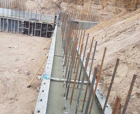 Statybų techninė priežiūra, statybų projekto valdymas / Tomas / Darbų pavyzdys ID 3358924