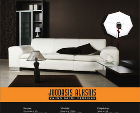 Dizainas, maketavimas, iliustracijos, tapyba, sieninė tapyba - Grafikos darbai - 3 Grafikos darbai - Dizainas, maketavimas, iliustracijos, tapyba, sieninė tapyba - 3