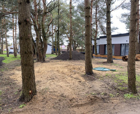 Vejos įrengimas, trinkelių klojimas / Dirvita / Darbų pavyzdys ID 3359474