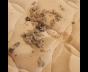 Čiužinių valymas - V1p Diamond Clean, Mb Visos Valymo Paslaugos - 4