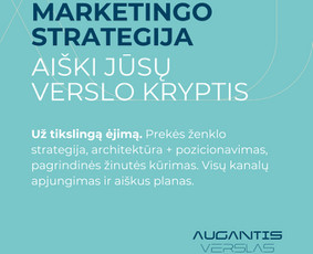 Pardavimų skatinimo strategijos rengimas - +30% augimas - Pro Facebook ir Google reklamos specialistas - 2