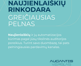 Naujienlaiškių kūrimas ir sklaida - +30% augimas - Pro Facebook ir Google reklamos specialistas - 1