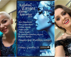 Profesionali vizažistė Šukuosenų stilistė Vilniuje / Lina Gerdus / Darbų pavyzdys ID 646331