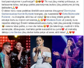 Profesionali vizažistė Šukuosenų stilistė Vilniuje / Lina Gerdus / Darbų pavyzdys ID 646343